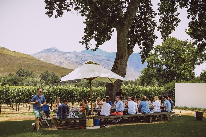 Full-Day Franschhoek Hop on Hop off Wine Tram Tour From Cape Town - Tram Route and Capacity