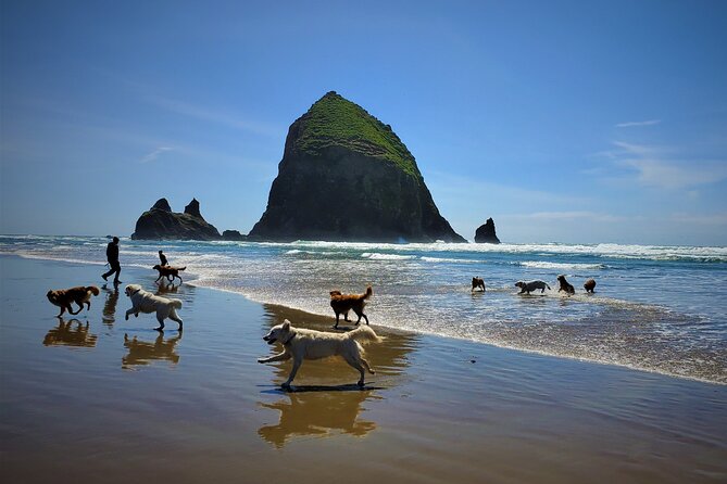 Full-Day Guided Oregon Coast Tour From Portland - What to Expect