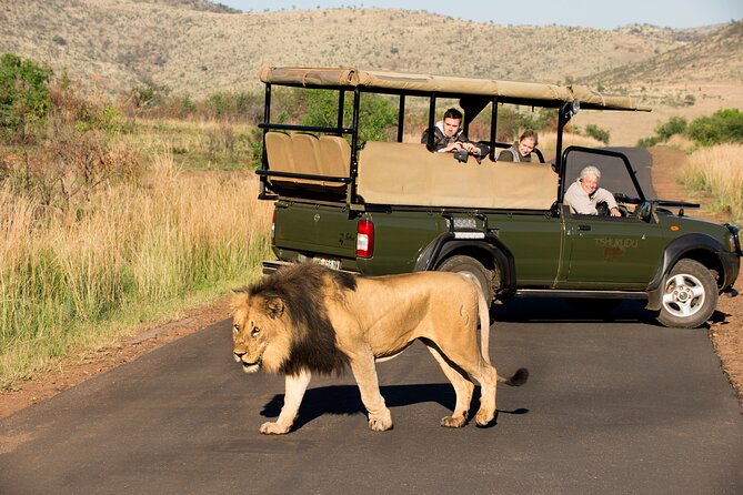 Full Day Pilanesberg Experience in Open Vehicle - Safari Drive Duration and Lunch