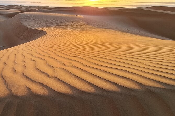 Full-Day Private Wahiba Sands Desert and Wadi Bani Khalid Tour - Wahiba Sands Desert Experience