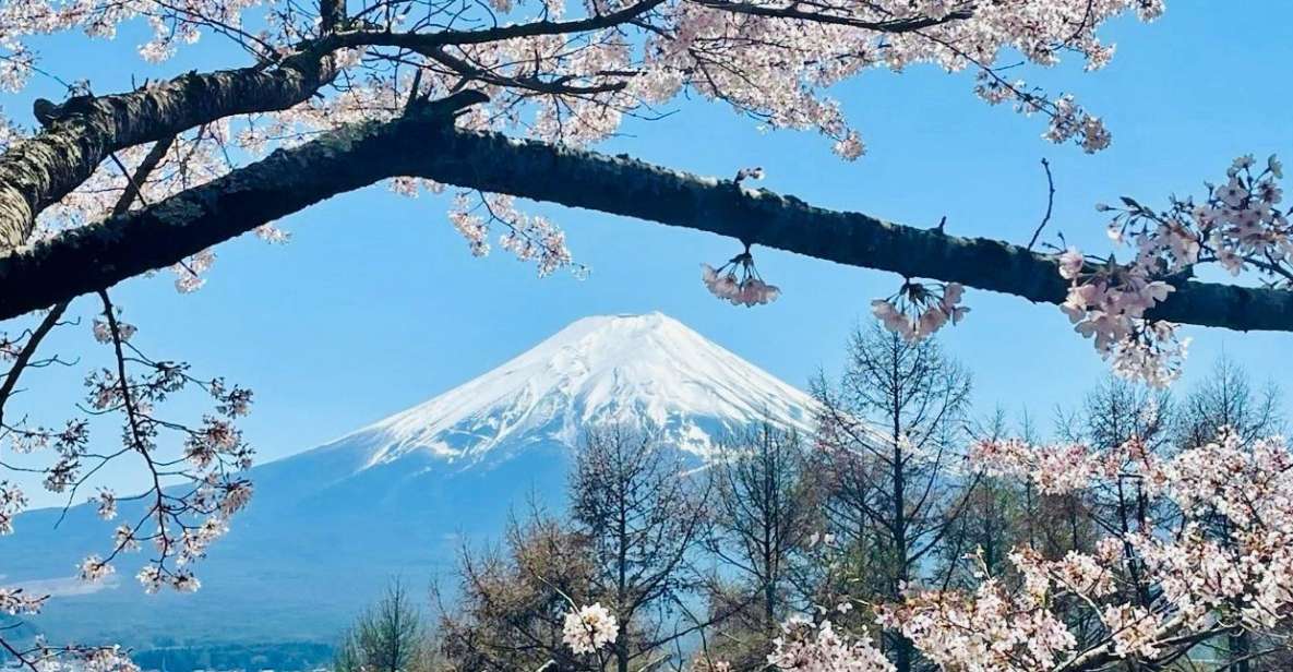 Full Guided One Day Trip for Mount Fuji Japan - Tour Duration and Starting Times