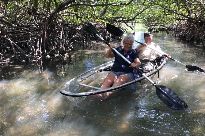 Guided Island Eco Tour - CLEAR or Standard Kayak or Board - Guided Island Eco Tour