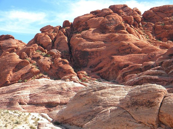 Guided Mountain Bike Tour of Mustang Trail in Red Rock Canyon - Round-trip Transportation Included