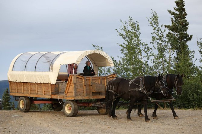 Horse-Drawn Covered Wagon Ride With Backcountry Dining - Transportation Options
