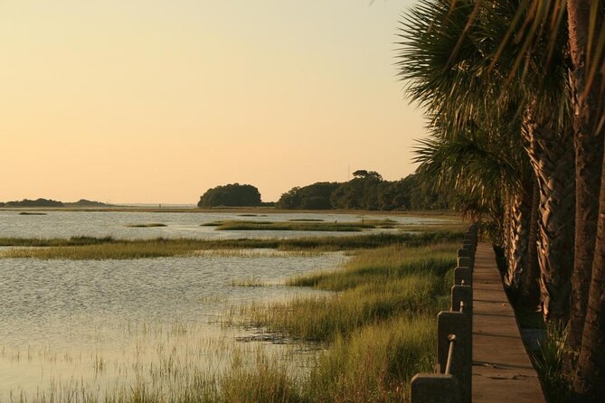 Jekyll Island Dolphin Tours - Memorable Local Experiences