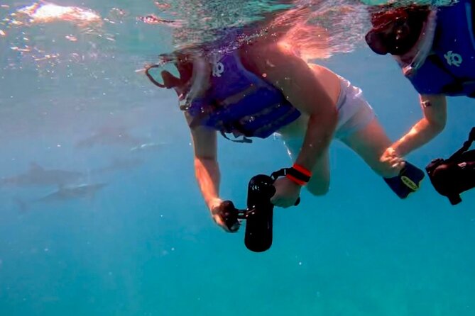 Jet Snorkeling in Turtle, Dolphin and Monk Seal Bay - Physical Fitness Requirement