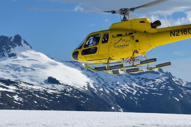 Juneau Shore Excursion: Helicopter Tour and Guided Icefield Walk - Customer Reviews and Feedback