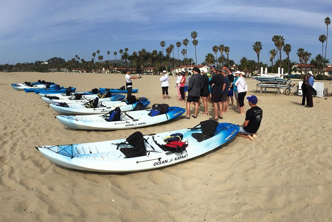 Kayak Tour of Santa Barbara With Experienced Guide - Kayak Options