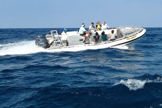 Kealakekua Bay Captain Cook Snorkel Exclusive - Spotting Marine Life