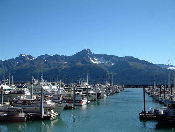Kenai Fjords and Resurrection Bay Half-Day Wildlife Cruise - Booking and Cancellation Details