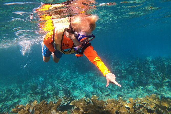 Key Largo Two Reef Snorkel Tour - All Snorkel Equipment Included! - Snorkeling Experience