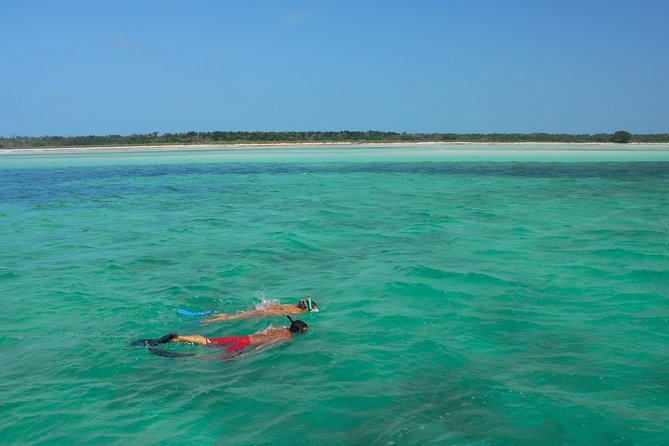 Key West Island Adventure: Kayak, Snorkel, Paddleboard - Seasonal Morning and Afternoon Trips