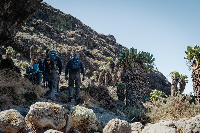 Kilimanjaro Climb, Machame Route (7-Day) - Joining a Private Tour Group
