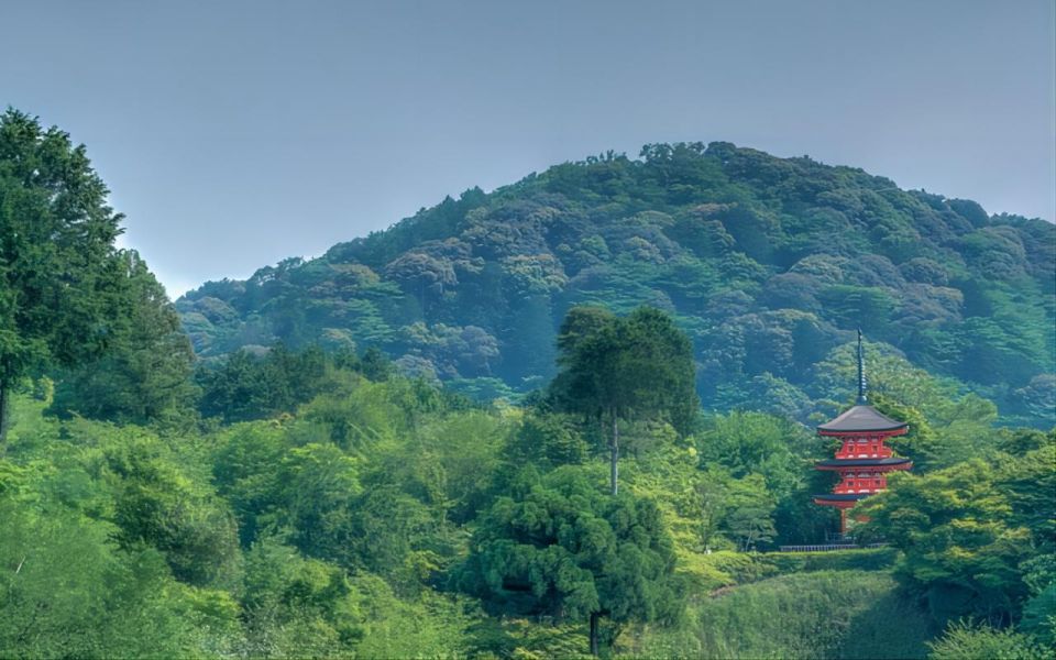 Kyoto: Customizable Private Tour With Hotel Transfers - Pickup and Drop-off