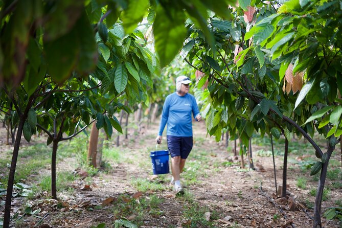 Lahaina: Maui Kuia Estate Guided Cacao Farm Tour and Tasting - Booking Details