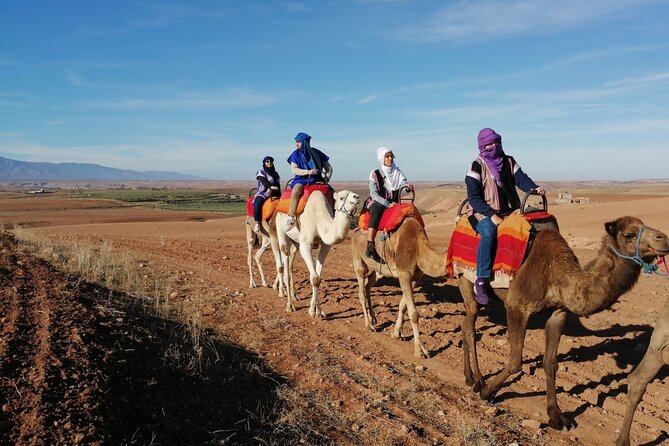 Magical Dinner Show and Camel Ride With Sunset in Agafay Desert - Inclusions and Meeting Point