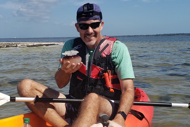 Manatee and Dolphin Kayaking | Haulover Canal (Titusville) - Customer Reviews and Ratings