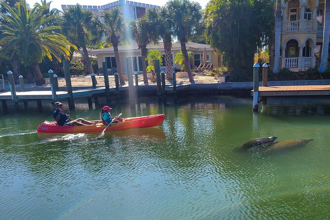 Mangroves, Manatees, and a Hidden Beach: Kayak Tour - Safety and Equipment