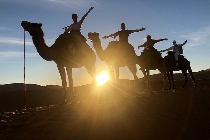 Marrakech: 2 Days Tour to Sahara Zagora Desert & Ait-Benhaddou - Pickup and Drop-off