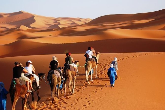 Marrakech to Fez via Merzouga Desert 3 Day Morocco Sahara Tour - Group Size and Accessibility