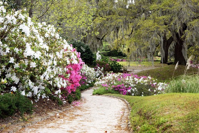 Middleton Place Admission With Self Guided Tour and Lunch - Lowcountry Lunch