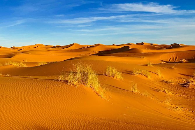Moroccan Desert 3-Day Tour From Marrakech - Dietary Requirements and Restrictions