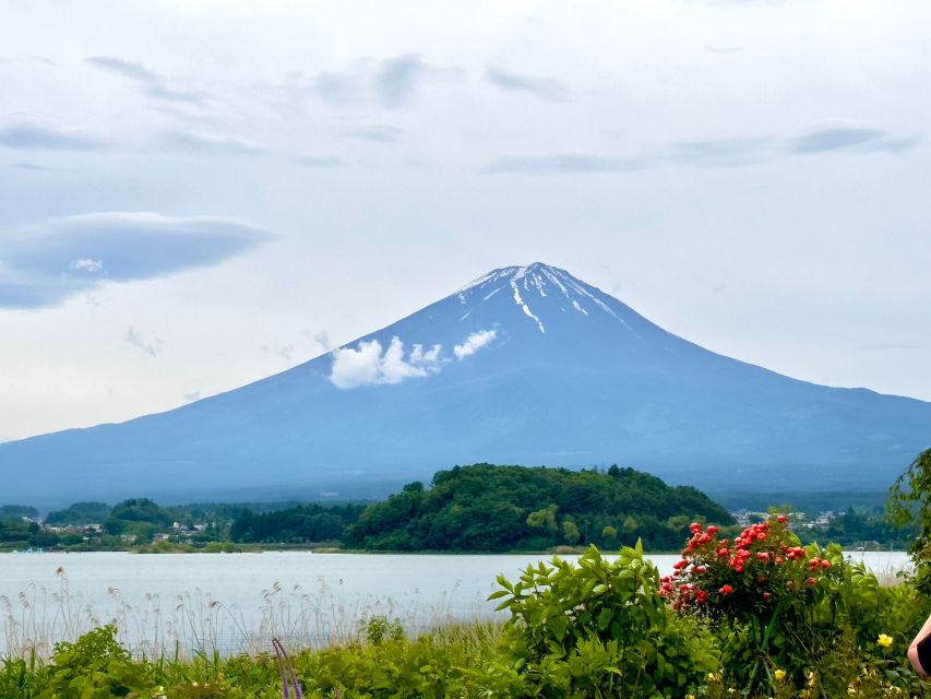 Mount Fuji Hakone With English-Speaking Guide - Flexible Booking Options