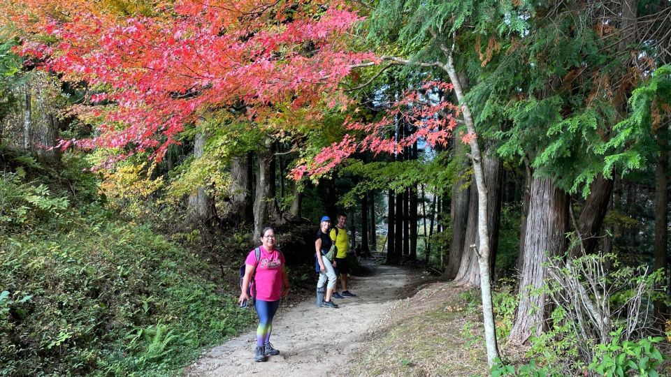 Nagoya: Full-day Kisoji Nakaendo Trail Tour - Walking the Nakasendo Trail