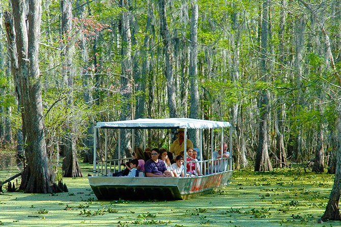 New Orleans Swamp and Bayou Boat Tour With Transportation - Additional Info