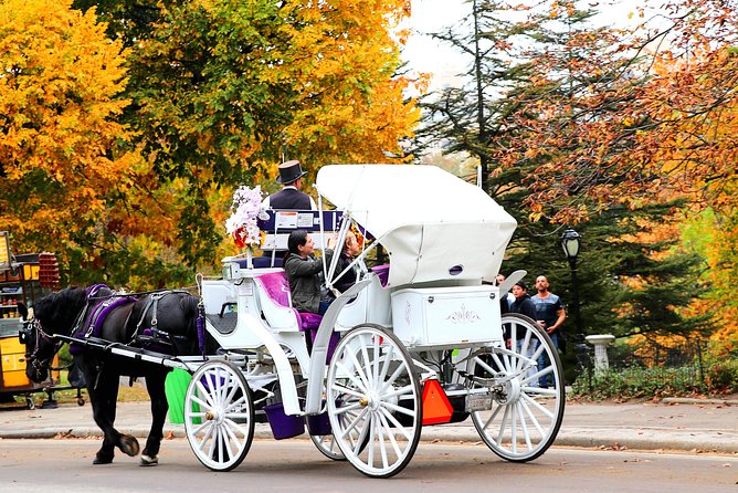 NYC Central Park Horse Carriage Ride (Up to 4 Adults) - Customer Reviews