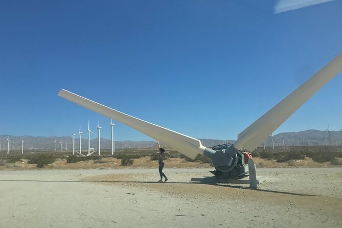 Palm Springs Windmill Tours - Renewable Energy Industry Insights