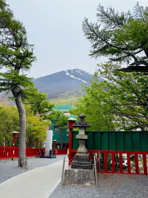 Private Day Trip to Mt. Fuji & Hakone Cherry Blossoms - Oshino Hakkai Landscapes