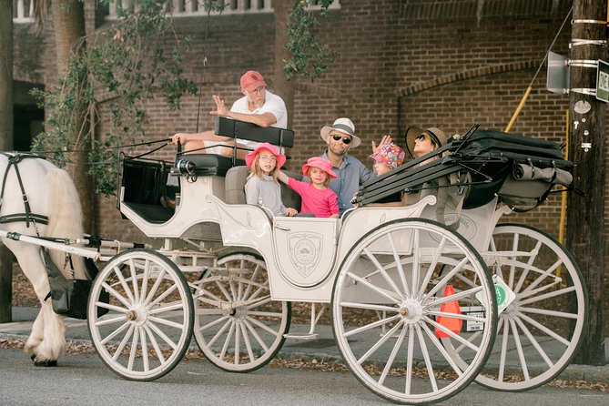 Private Daytime or Evening Horse-Drawn Carriage Tour of Historic Charleston - Narrative and Commentary by Guide