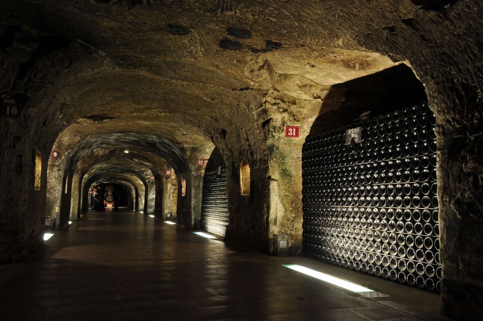 Reims/Epernay: Private Moet & Chandon Winery Tour & Tastings - Family-run Winery Experience