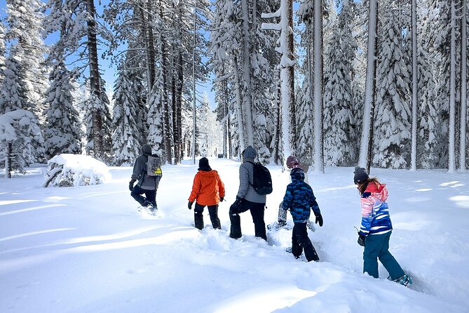 Scenic Snowshoe Adventure in South Lake Tahoe, CA - The Scenic Trails and Terrain