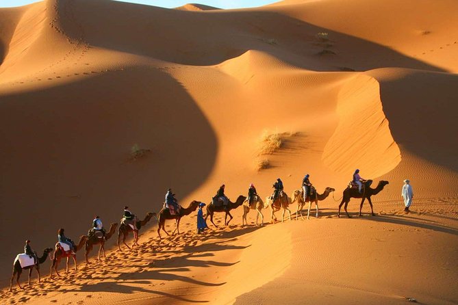 Shared Group Desert Tour From Marrakech for 3 Days - Booking and Cancellation
