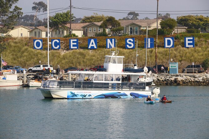 Shared Two-Hour Whale Watching Tour From Oceanside - Tour Reviews