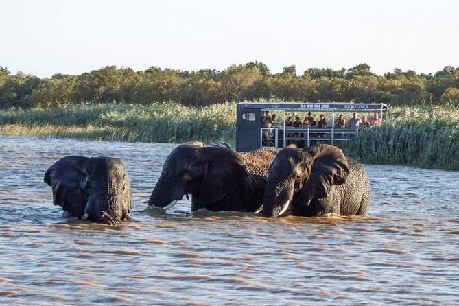 Shoreline Hippo and Crocodile Boat Cruises, Isimangaliso Wetland Park - Pricing and Guarantee