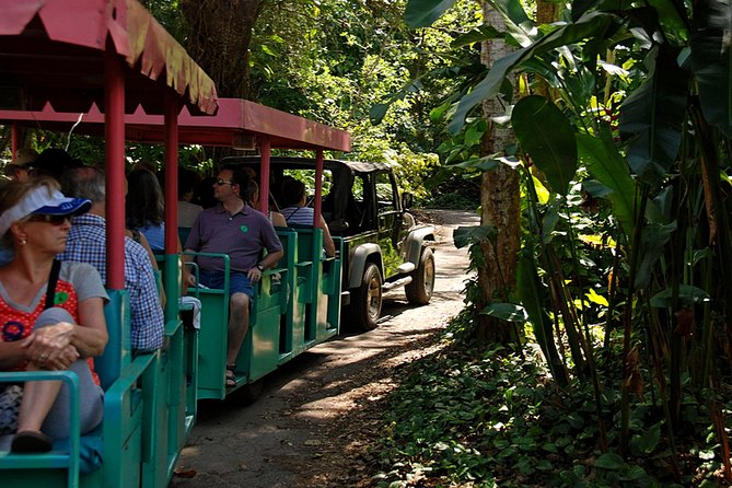 Skip the Line: Flamingo Gardens Admission Ticket in Fort Lauderdale - Narrated Tram Tour and Encounters