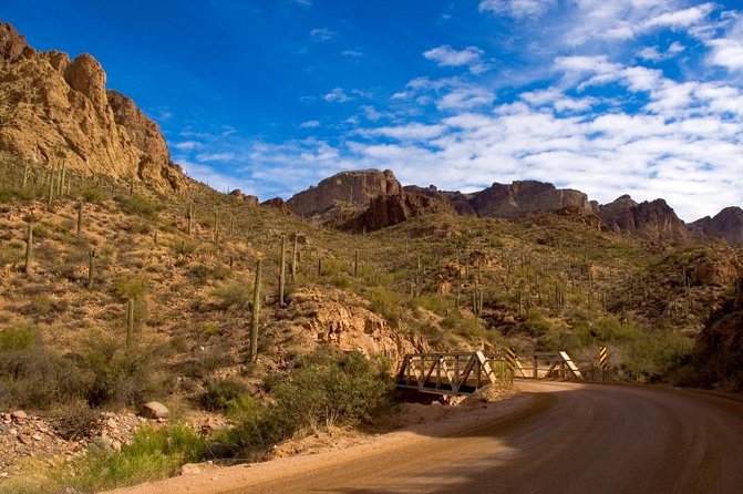 Small Group Apache Trail Day Tour With Dolly Steamboat From Phoenix - Wildlife and Scenery