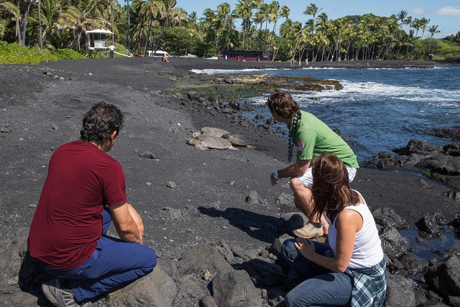 Small Group Big Island Twilight Volcano and Stargazing Tour - Reviews