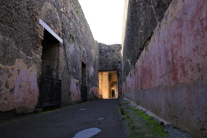 Small Group Guided Tour of Pompeii Led by an Archaeologist - Guides and Expertise