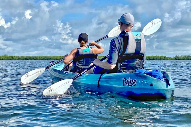 Small Group Kayak Tour of the Shell Key Preserve - Tour Duration, Group Size, and Operator Information