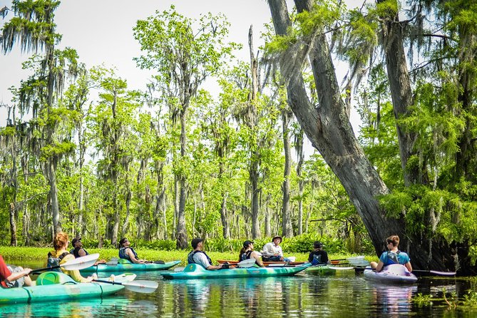 Small-Group Manchac Swamp Kayak Tour With Local Guide - Recent Reviews