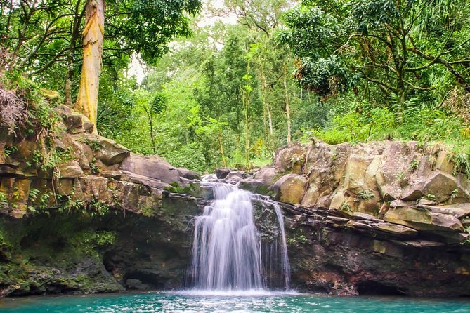 Small Group Waterfall and Rainforest Hiking Adventure on Maui - Experiencing the Rainforest