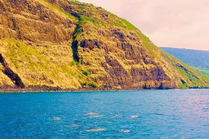 Snorkel on a Navy Boat in Kealakekua Bay Reef - Equipment and Amenities