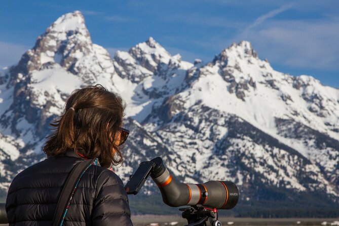 Sunrise 4-Hour Grand Teton Wildlife Adventure - Recommended for All Ages