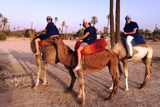 Sunset Camel Ride Tour in Marrakech Palm Grove - Capturing Memorable Moments