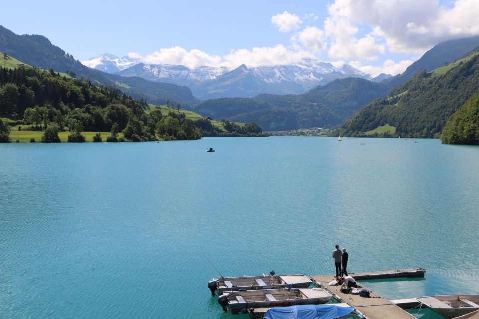Switzerland: Private Transfer by Car to Anywhere - Discover Breathtaking Swiss Landscapes