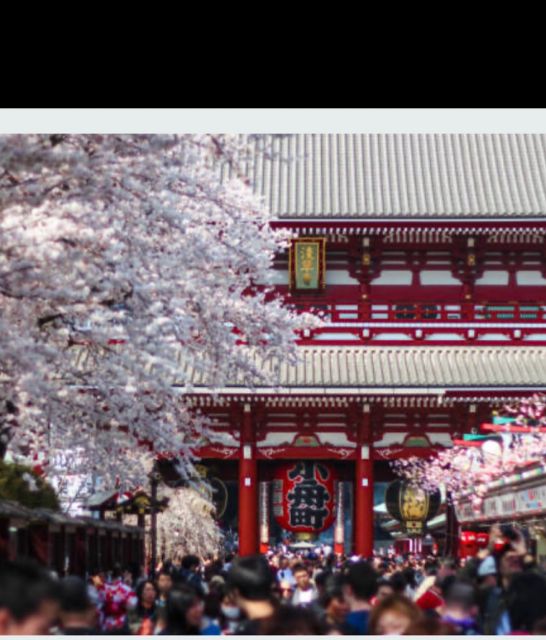 Tokyo Private Tour: Customizable (Up-To 6 Persons) - Suitability